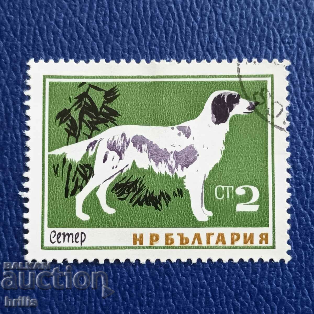 BULGARIA 1964 - FAUNA, BREEDS OF DOGS