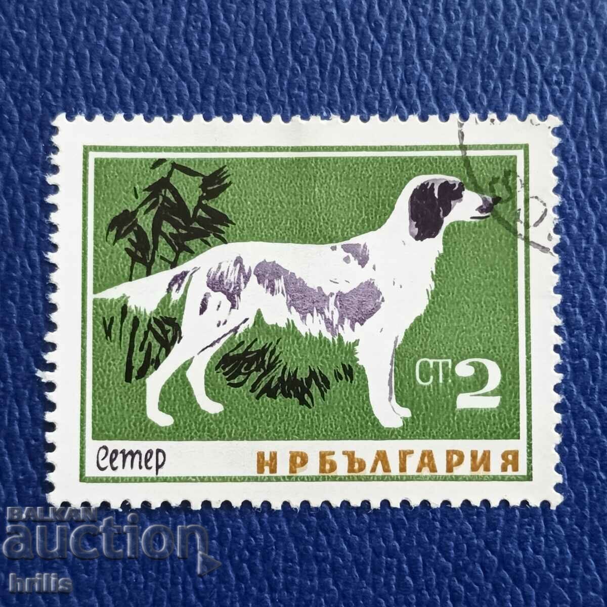 BULGARIA 1964 - FAUNĂ, RASE DE CÂINI BULGARIA 1964 - FAUNĂ, RASE DE CÂINI