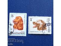 BULGARIA 1971 - FAUNA, RASE DE CINI