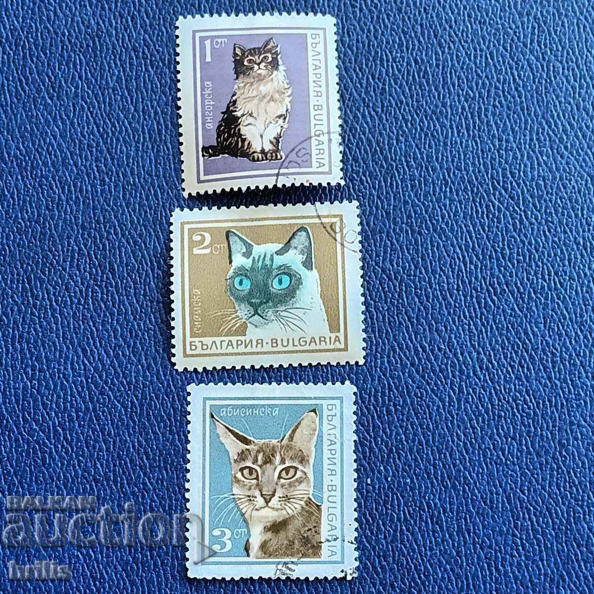 BULGARIA - FAUNA, RASE DE PISIC