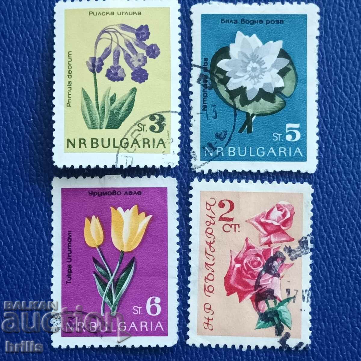 BULGARIA 1960s - FLORA, FLOWERS