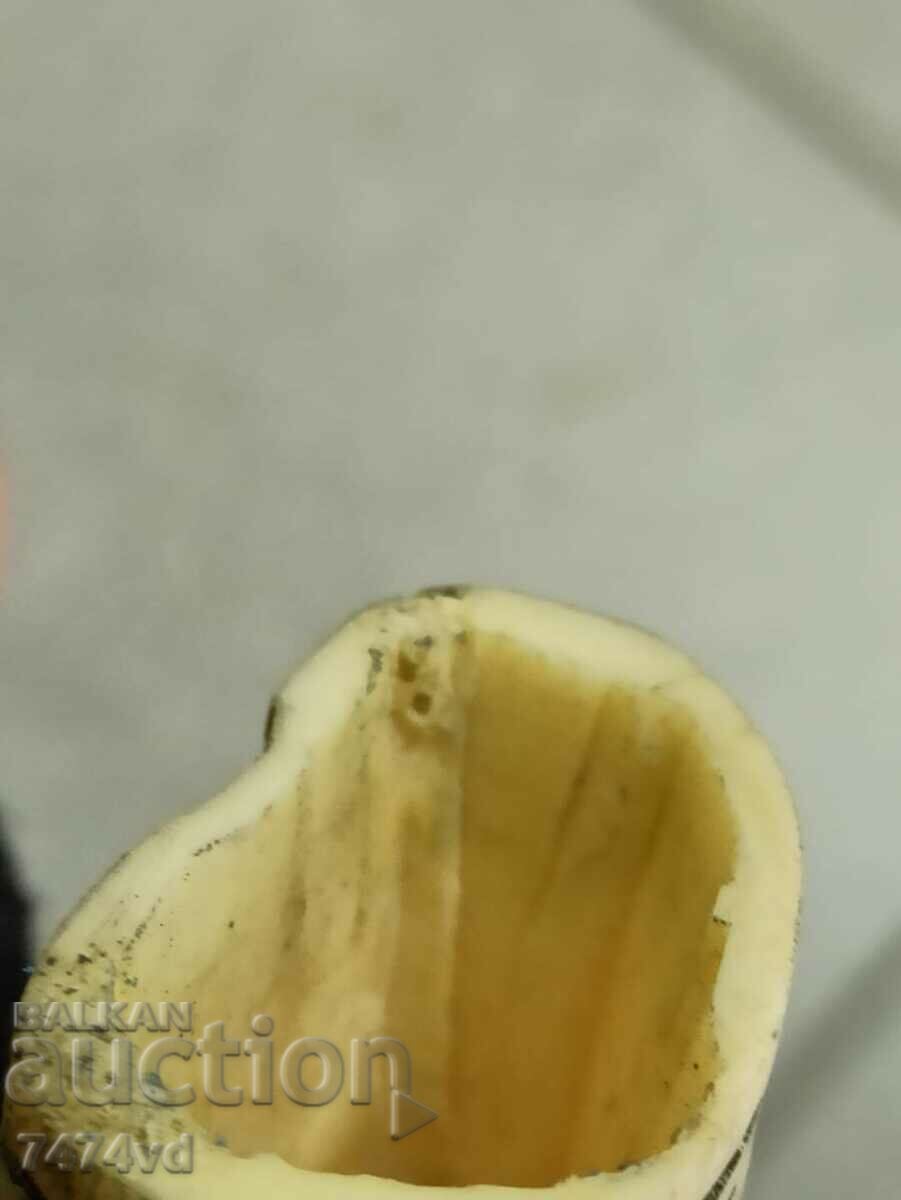 Old bone sheath - 7 Old bone sheath - 7