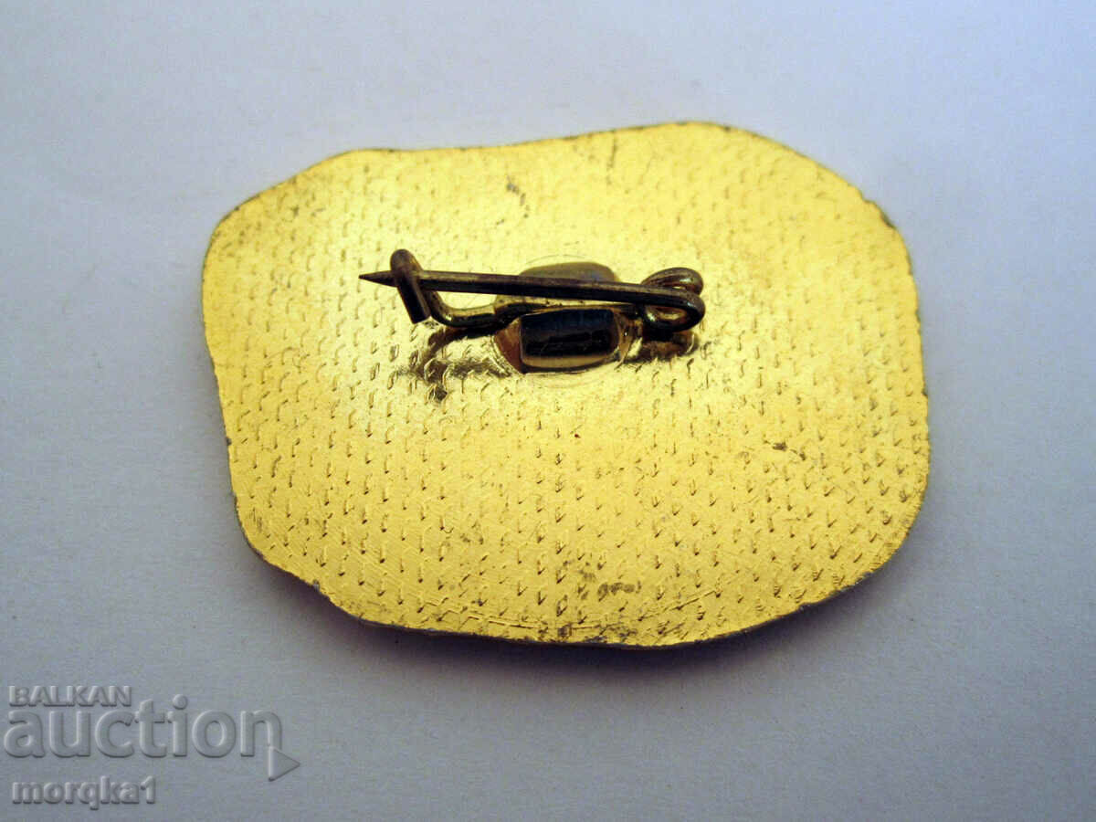 Badge Regional Historical Museum Razgrad with price 3.50 BGN | € 1.79 Badge Regional Historical Museum Razgrad with price 3.50 BGN | € 1.79