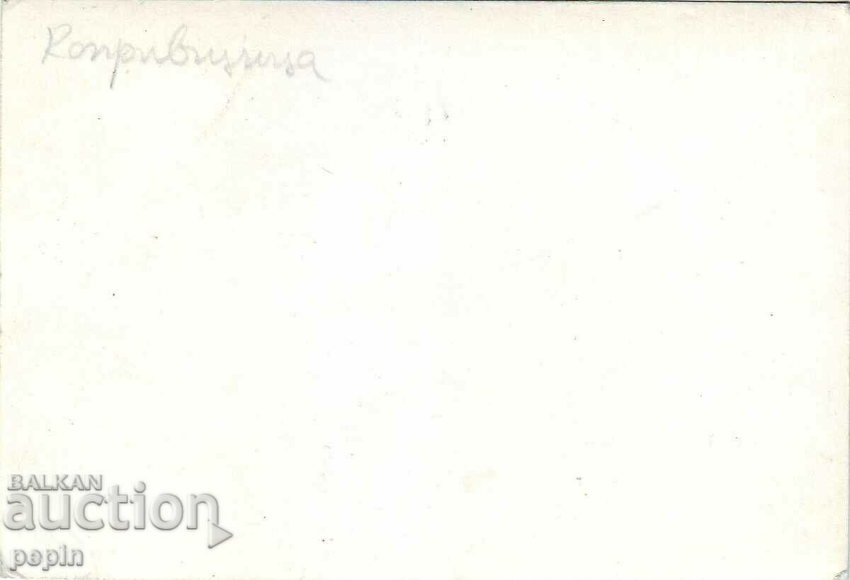 Photo - Koprivshtitsa with price 2.00 BGN | € 1.02