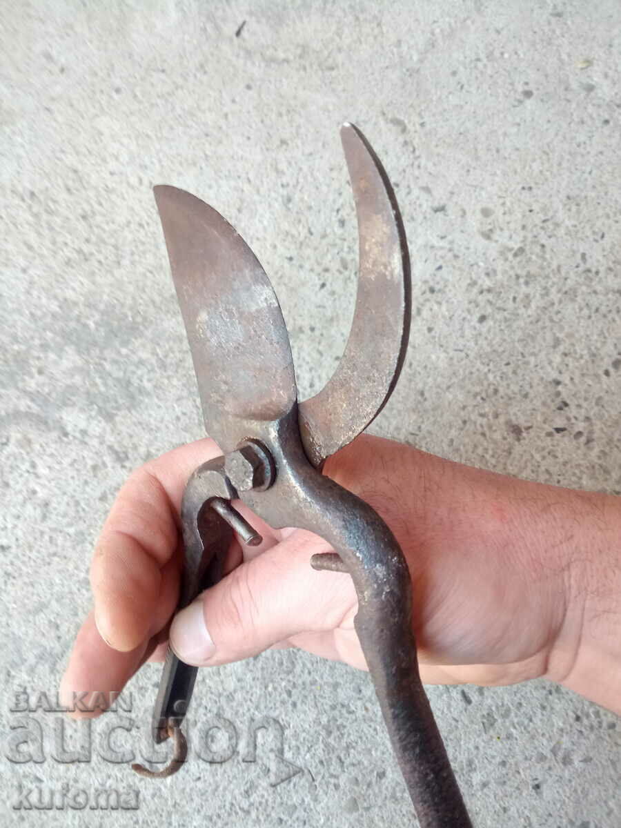 Auction Old viticulture scissors Auction Old viticulture scissors