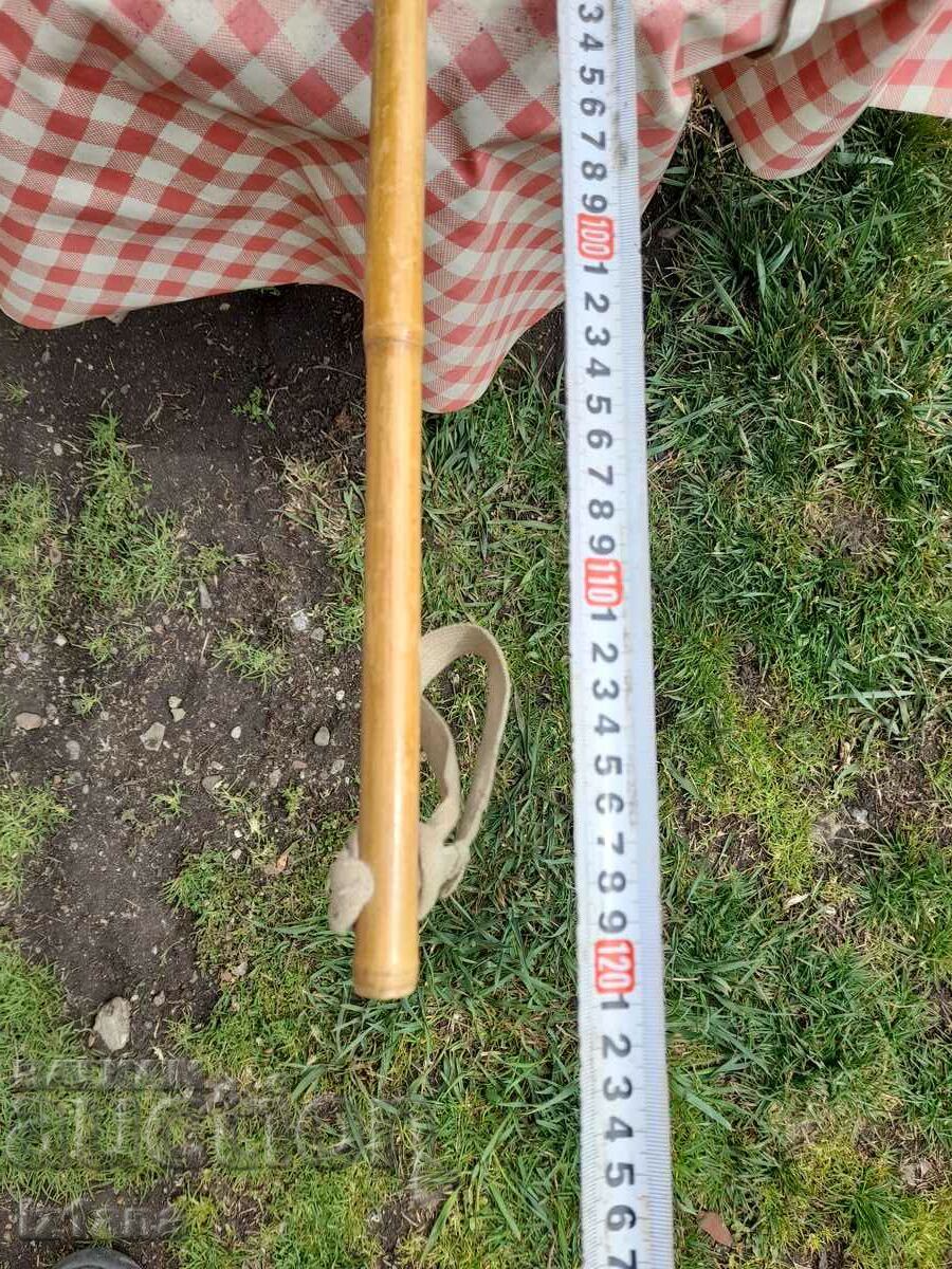 Old bamboo cheeks - 6 Old bamboo cheeks - 6