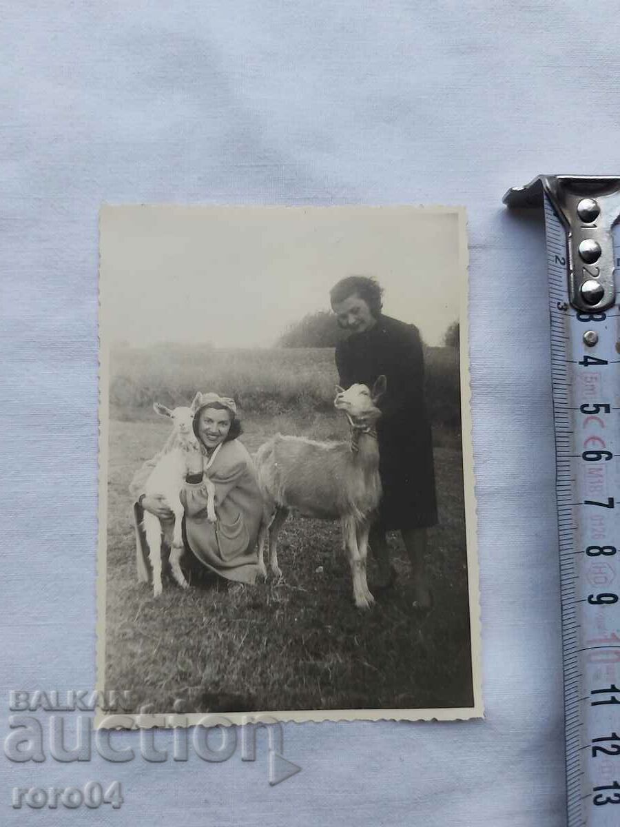GIRLS - GOATS - KINGDOM OF BULGARIA with price 8.99 BGN | € 4.60