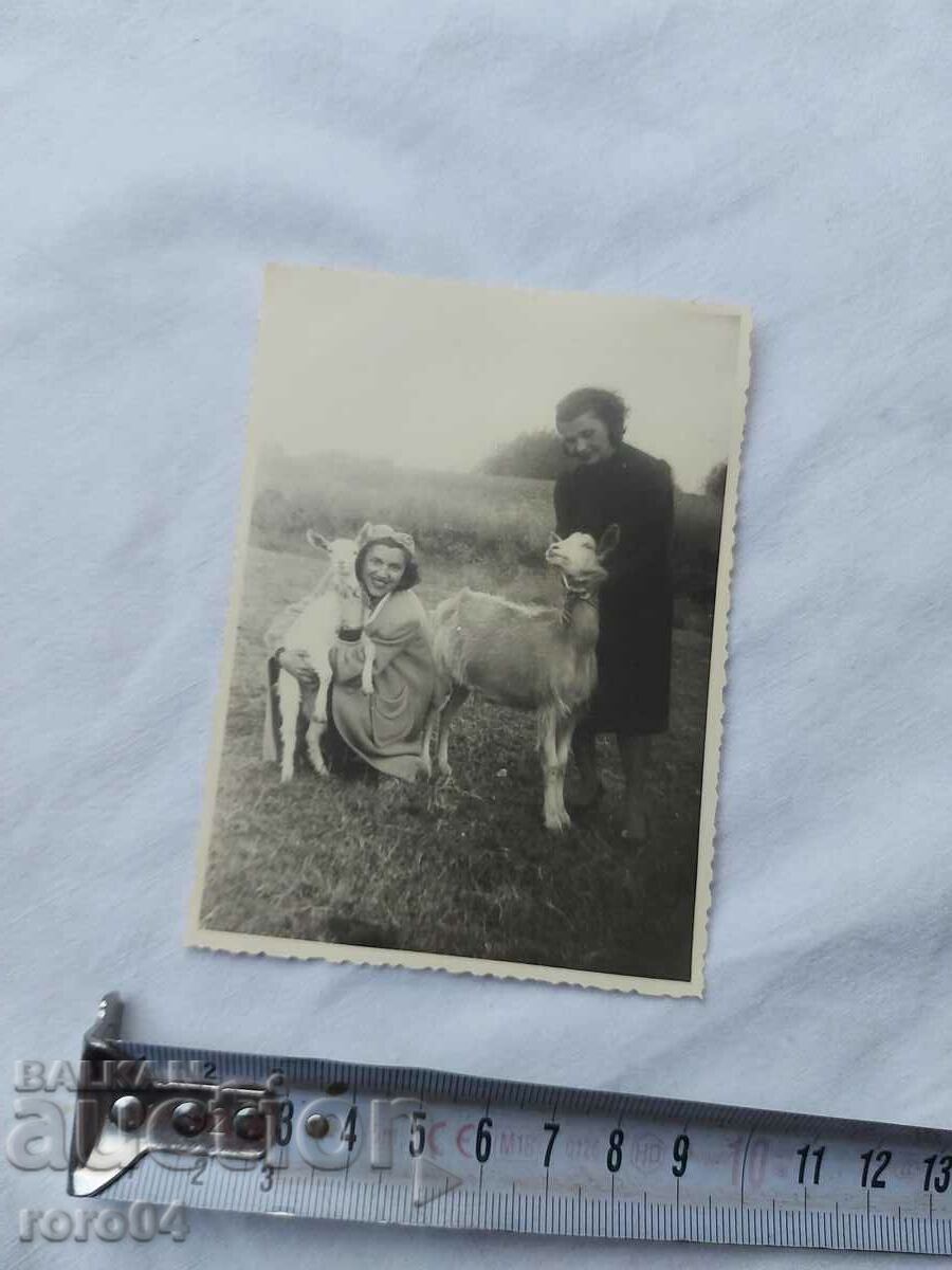 Auction  GIRLS - GOATS - KINGDOM OF BULGARIA