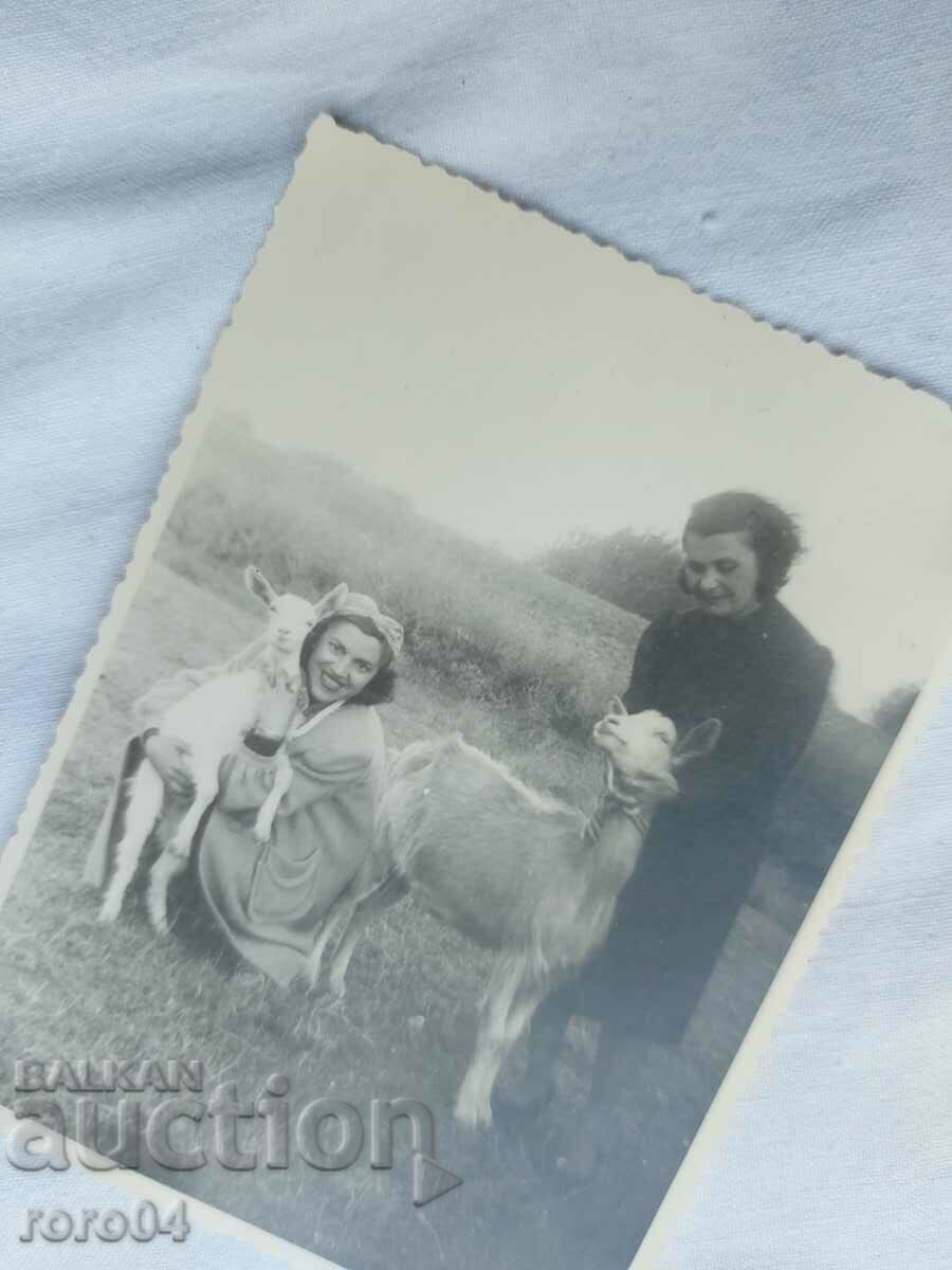 Delivery of GIRLS - GOATS - KINGDOM OF BULGARIA