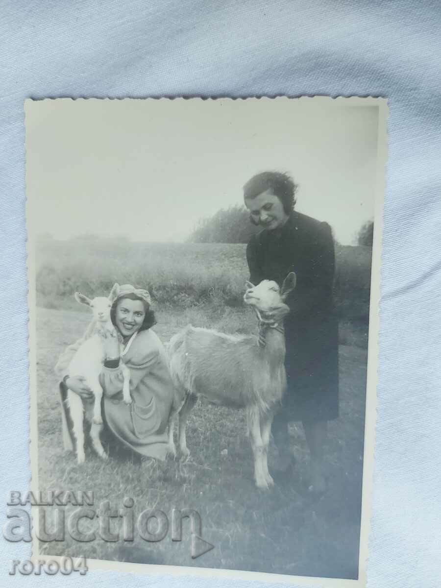 GIRLS - GOATS - KINGDOM OF BULGARIA - 6