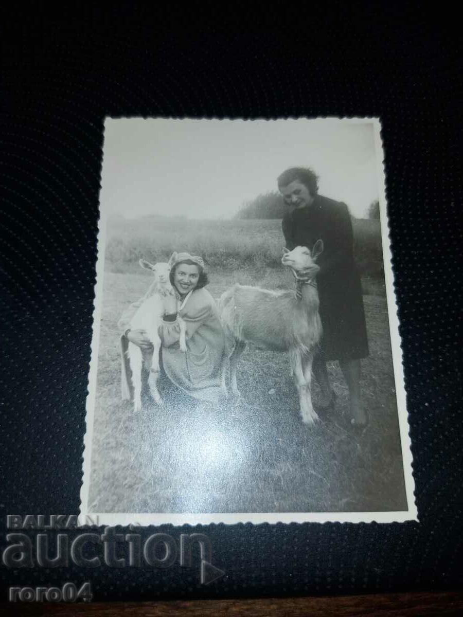 GIRLS - GOATS - KINGDOM OF BULGARIA - 7