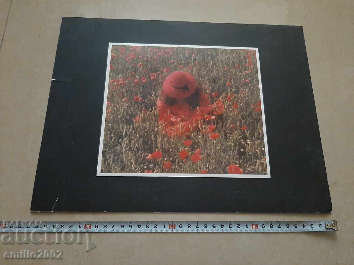 Nude photography professional exhibition with price 14.00 BGN | € 7.16