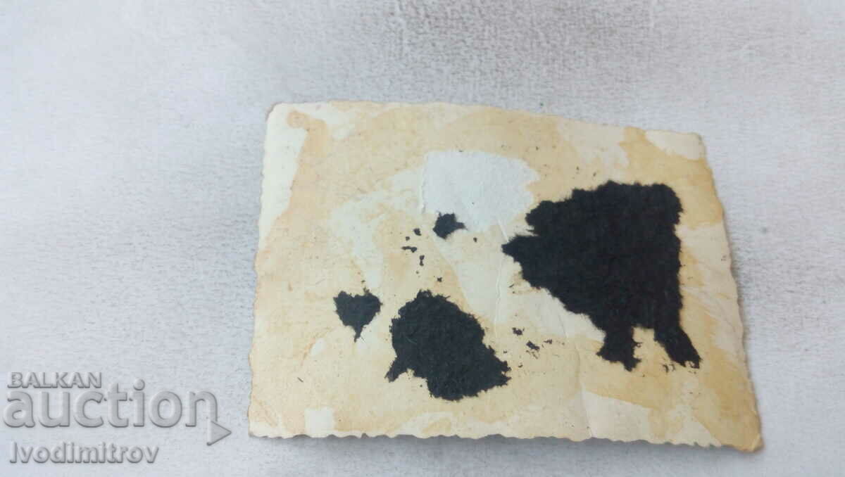 Photo Officers and soldiers with radio location. equipment with price 1.65 BGN | € 0.84 Photo Officers and soldiers with radio location. equipment with price 1.65 BGN | € 0.84