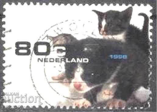 Клеймована марка Фауна Котки 1998 от Нидерландия