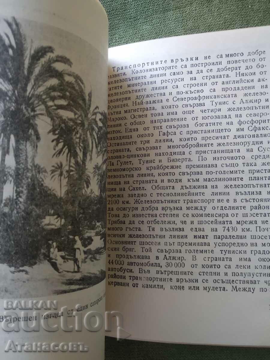 Auction Arcade countries Morocco Algeria Tunisia Petar Popov Auction Arcade countries Morocco Algeria Tunisia Petar Popov