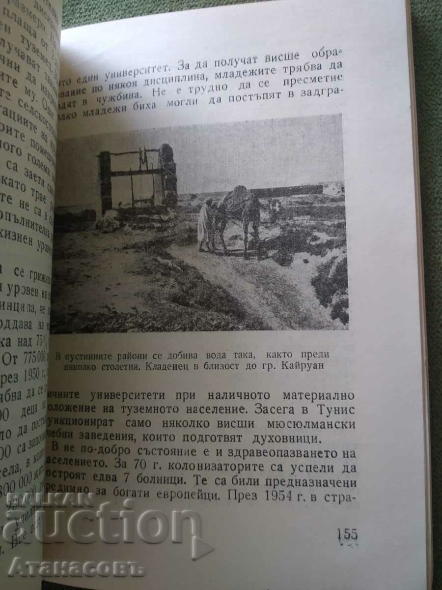 Delivery of Arcade countries Morocco Algeria Tunisia Petar Popov Delivery of Arcade countries Morocco Algeria Tunisia Petar Popov