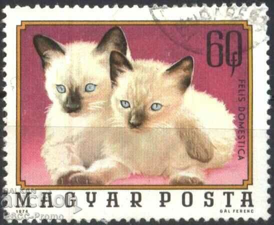 Σφραγισμένη μάρκα Fauna Cats 1974 από την Ουγγαρία