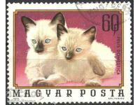 Stamped brand Fauna Cats 1974 from Hungary