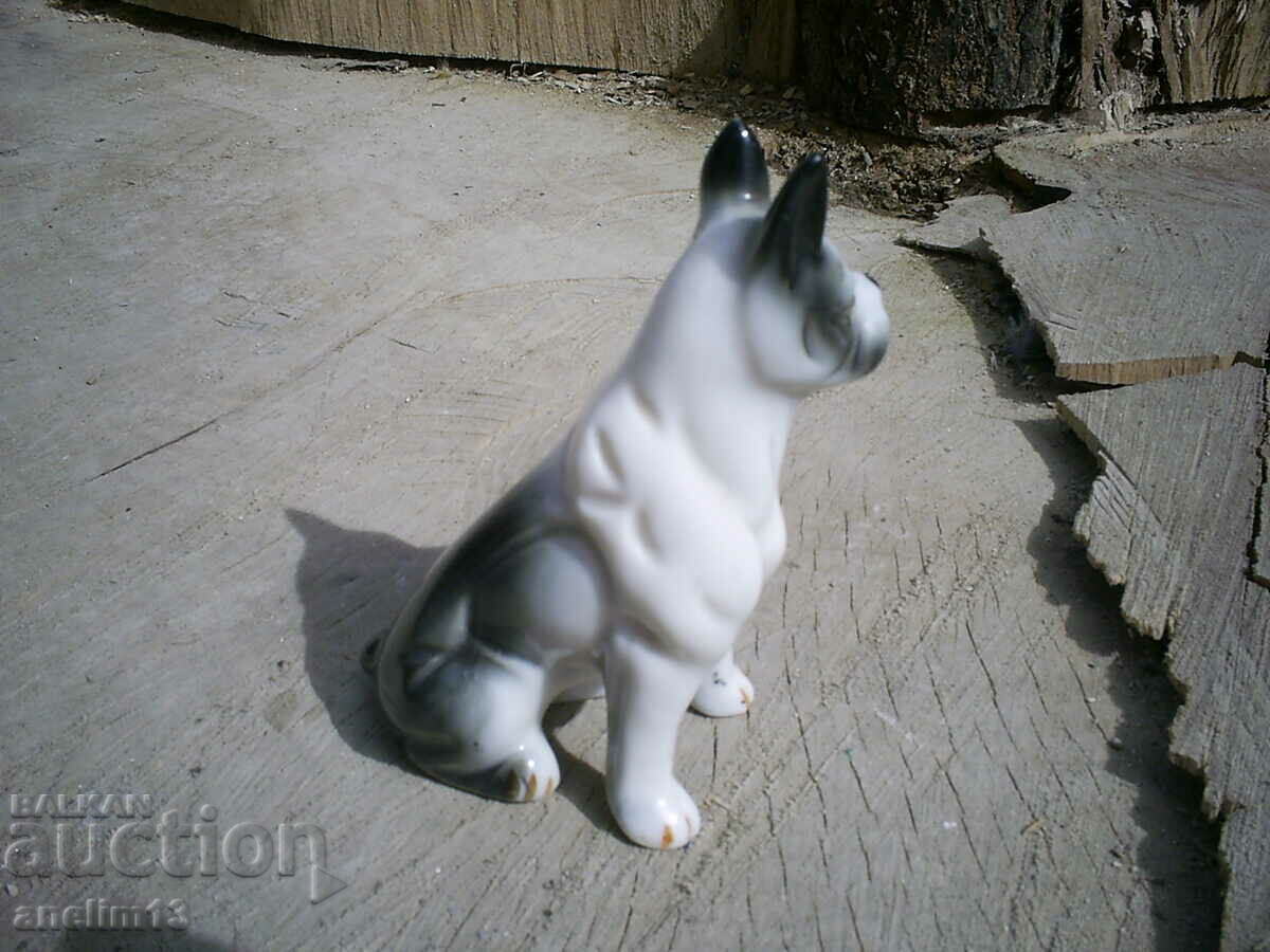 Delivery of STAR PORCELAIN DOG Delivery of STAR PORCELAIN DOG