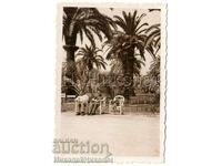 1937 LITTLE OLD PHOTO OF BULGARIANS IN NICE FRANCE B373