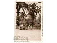 1937 ΜΙΚΡΗ ΠΑΛΙΑ ΦΩΤΟΓΡΑΦΙΑ ΒΟΥΛΓΑΡΩΝ ΣΤΗ ΝΙΚΑΙΑ ΓΑΛΛΙΑ B373