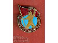BADGE - For long-term and conscientious work - 2