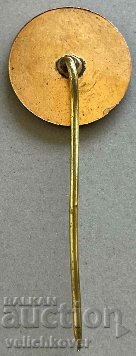 32204 Bulgaria sign logo BNT Bulgarian National Television with price 3.00 BGN | € 1.53