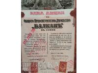 Акция 1929 София