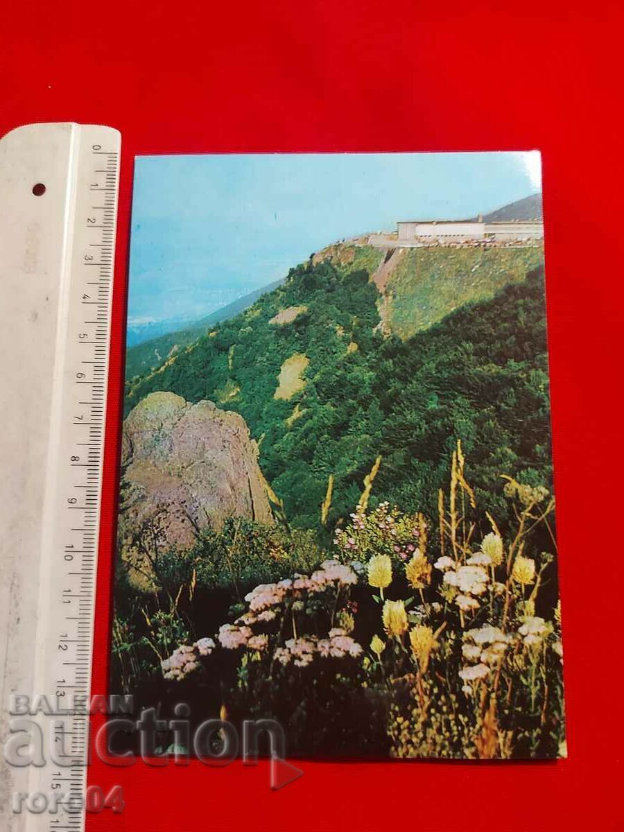 Vitosha cu preț € 0.69 | 1.35 BGN