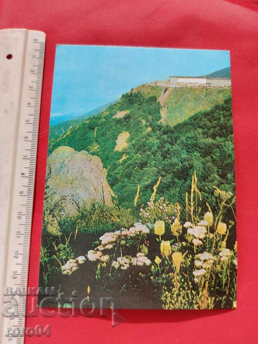 VITOSHA with price 1.11 BGN | € 0.57 VITOSHA with price 1.11 BGN | € 0.57