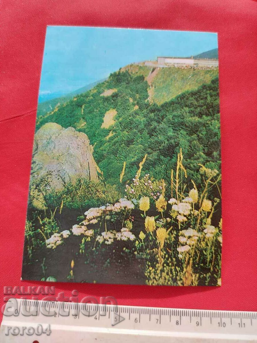 Licitație Vitosha Licitație Vitosha