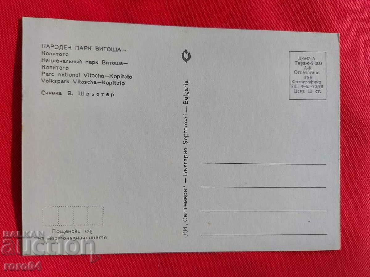 Delivery of VITOSHA Delivery of VITOSHA