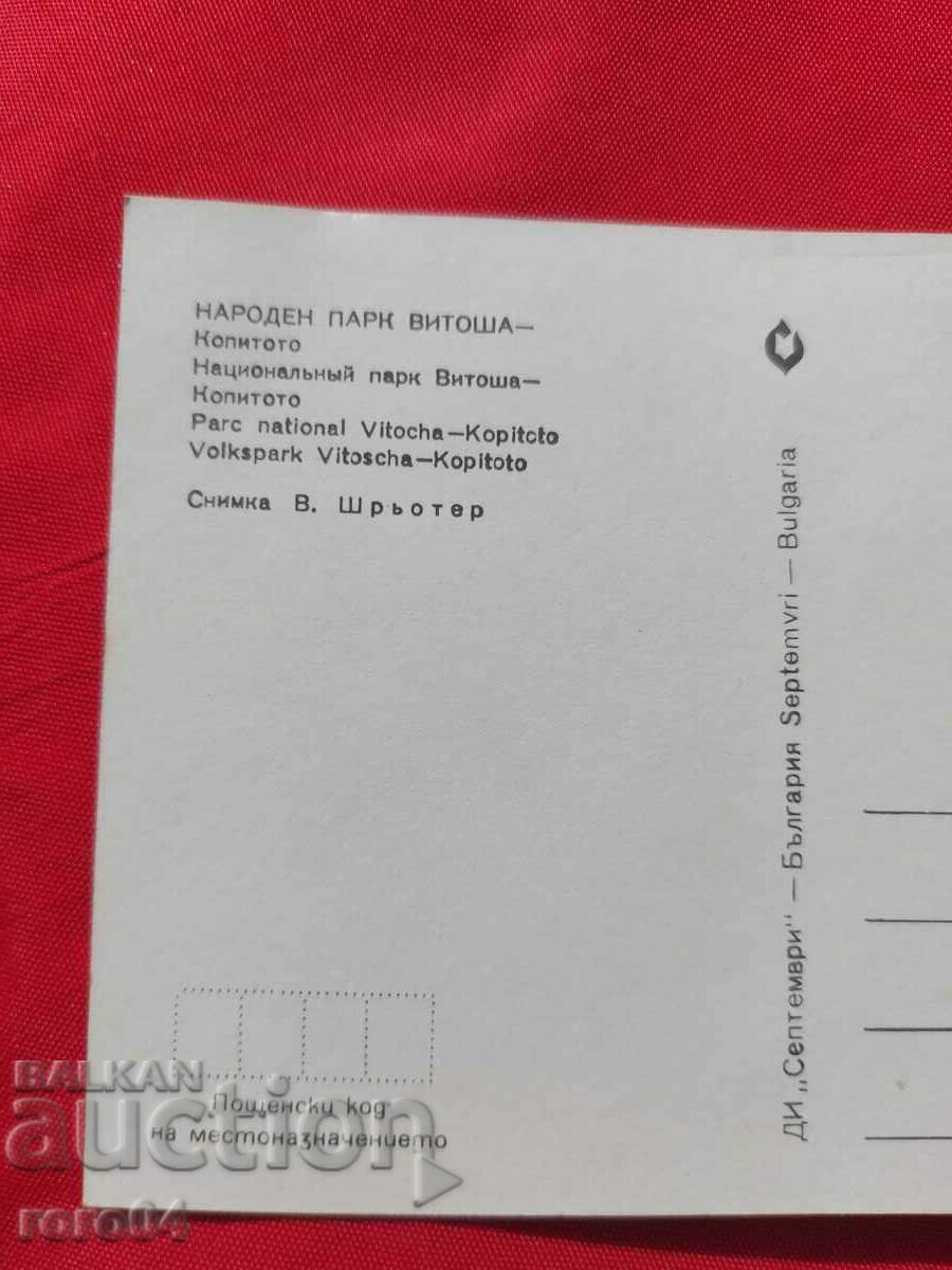 VITOSHA - 5 VITOSHA - 5