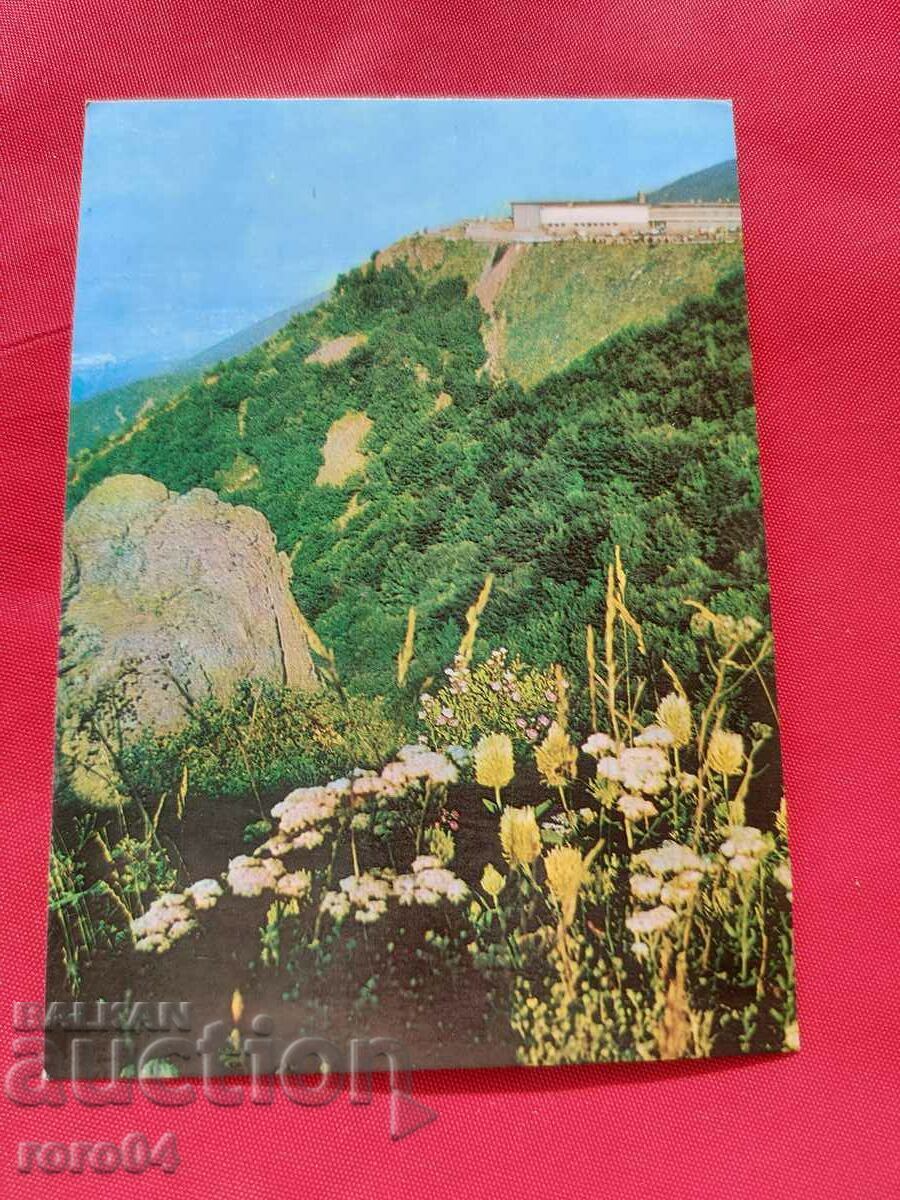 Vitosha Vitosha