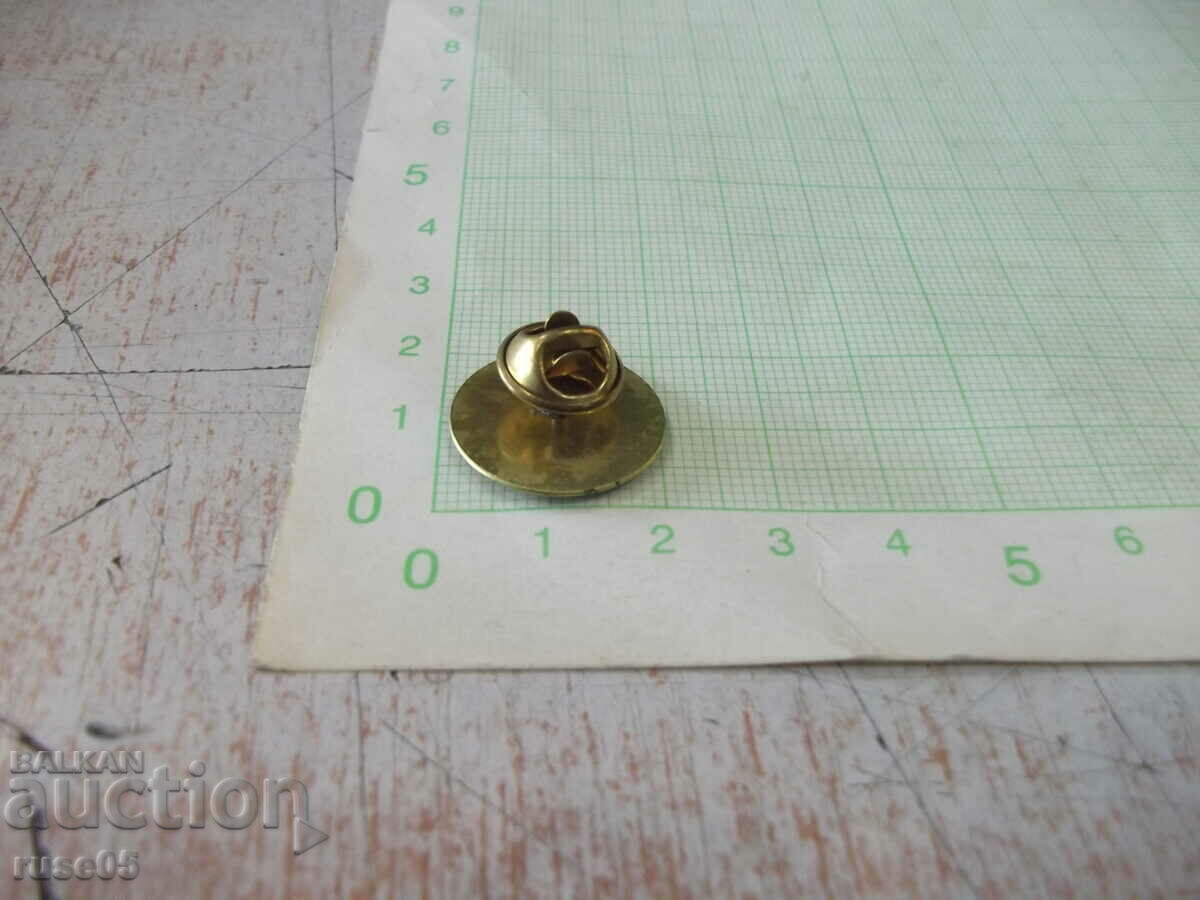 Delivery of Badge-Executive Agency "Research and Maintenance of the Danube River" Delivery of Badge-Executive Agency "Research and Maintenance of the Danube River"