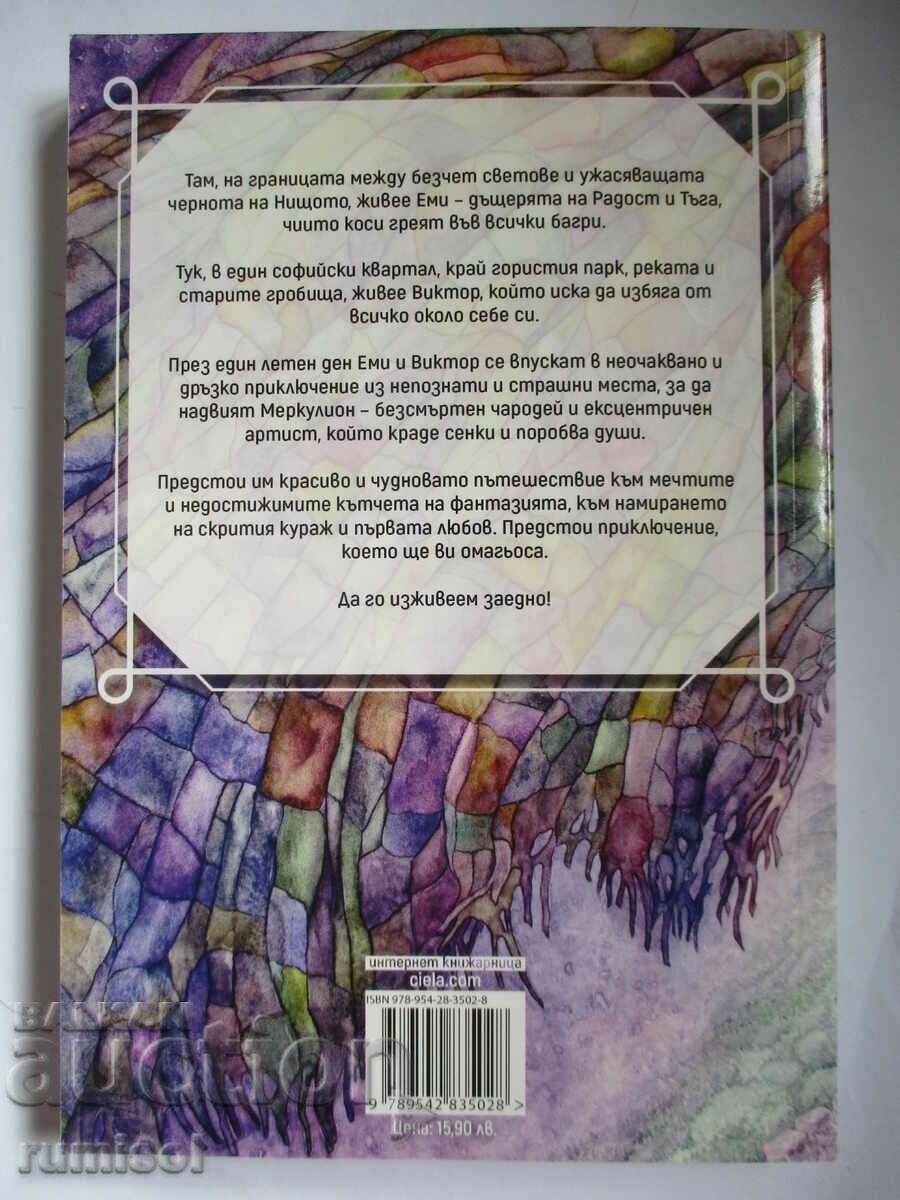 Emmy and the Thief of Shadows - Marin Troshanov με τιμή 14.29 BGN | € 7.31