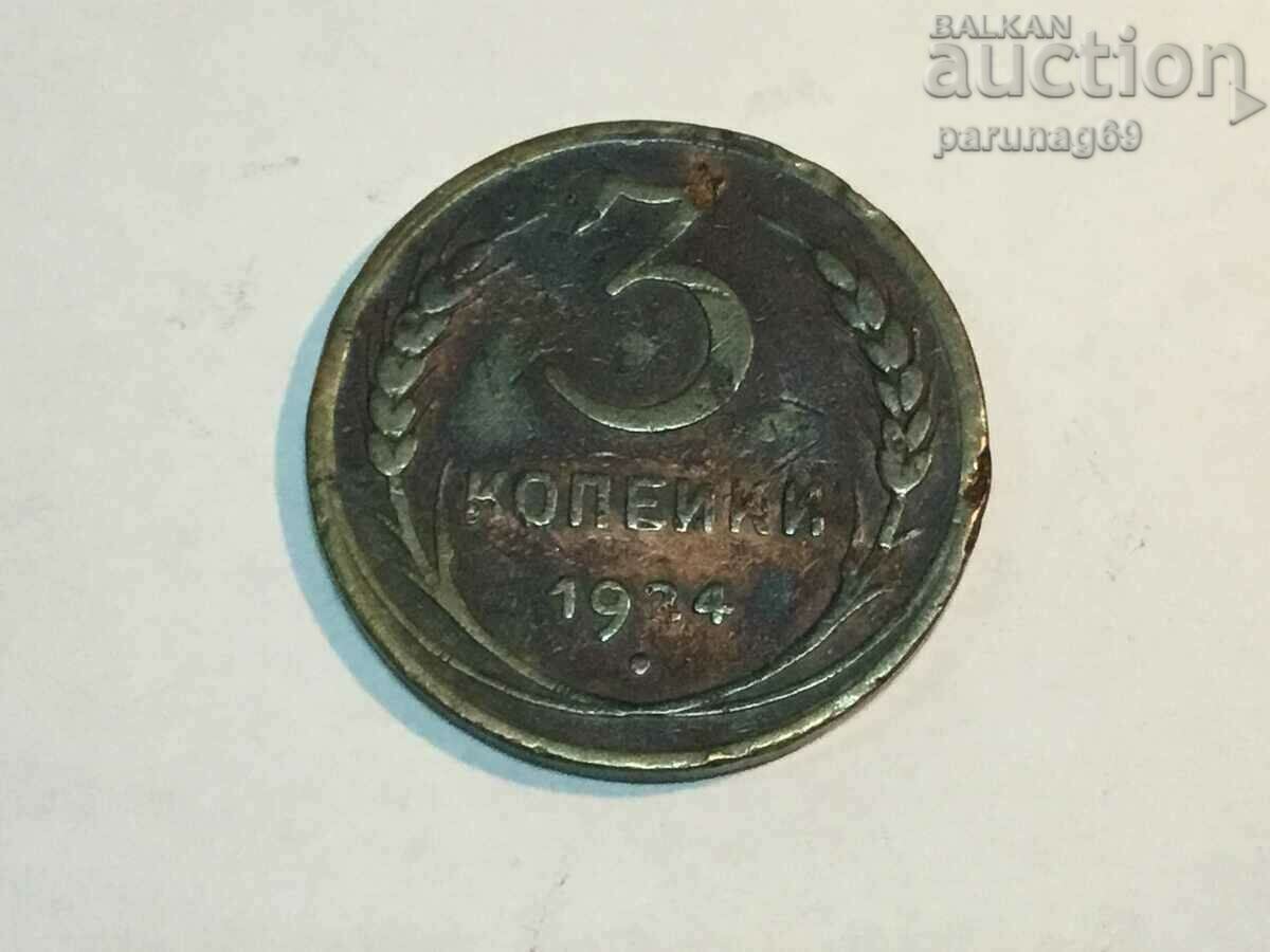 Русия - СССР 3 копейки 1924 година (OR.Р.34) Ленинград
