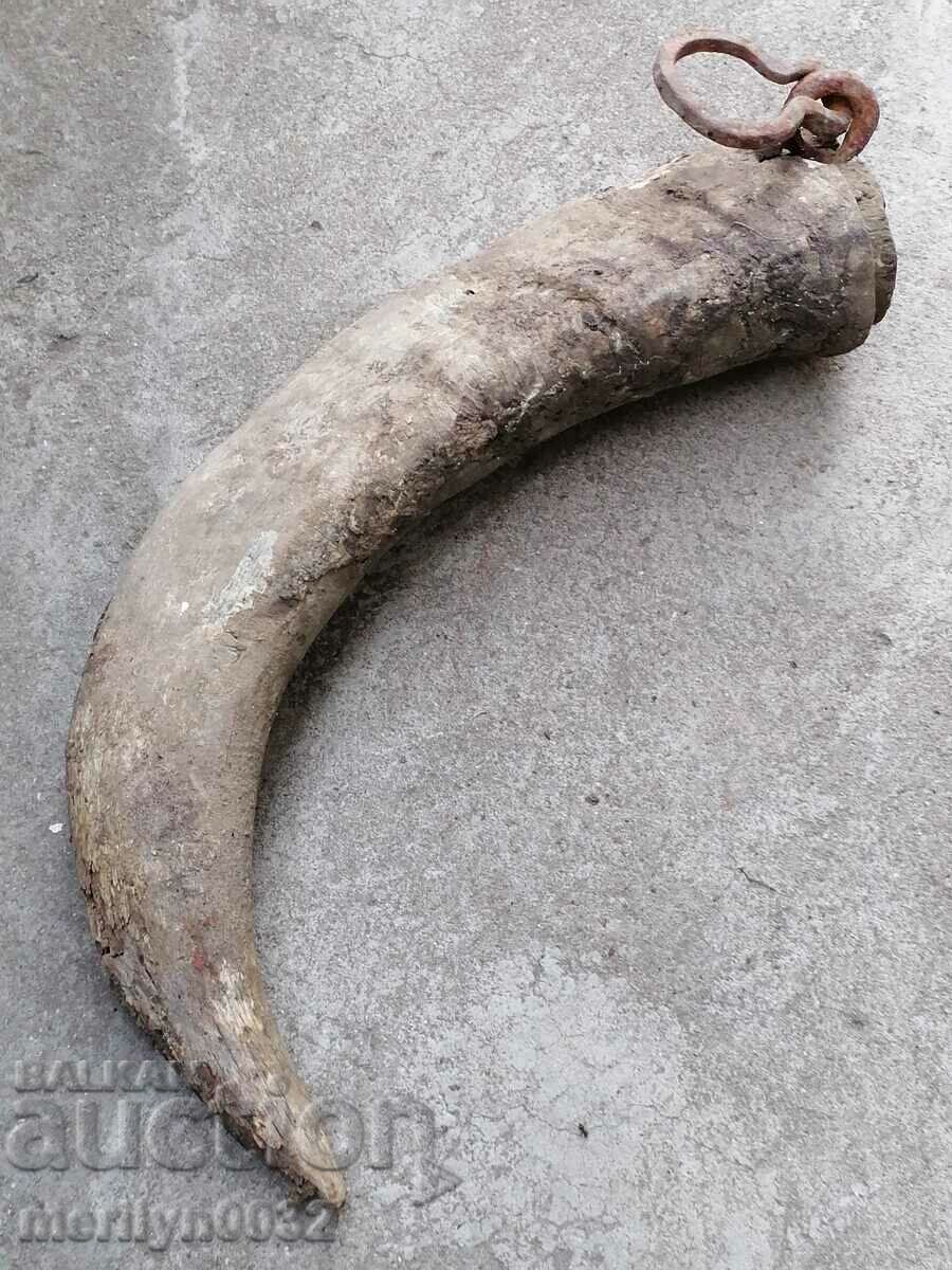 Auction  Bismarck hazelnut tarnata