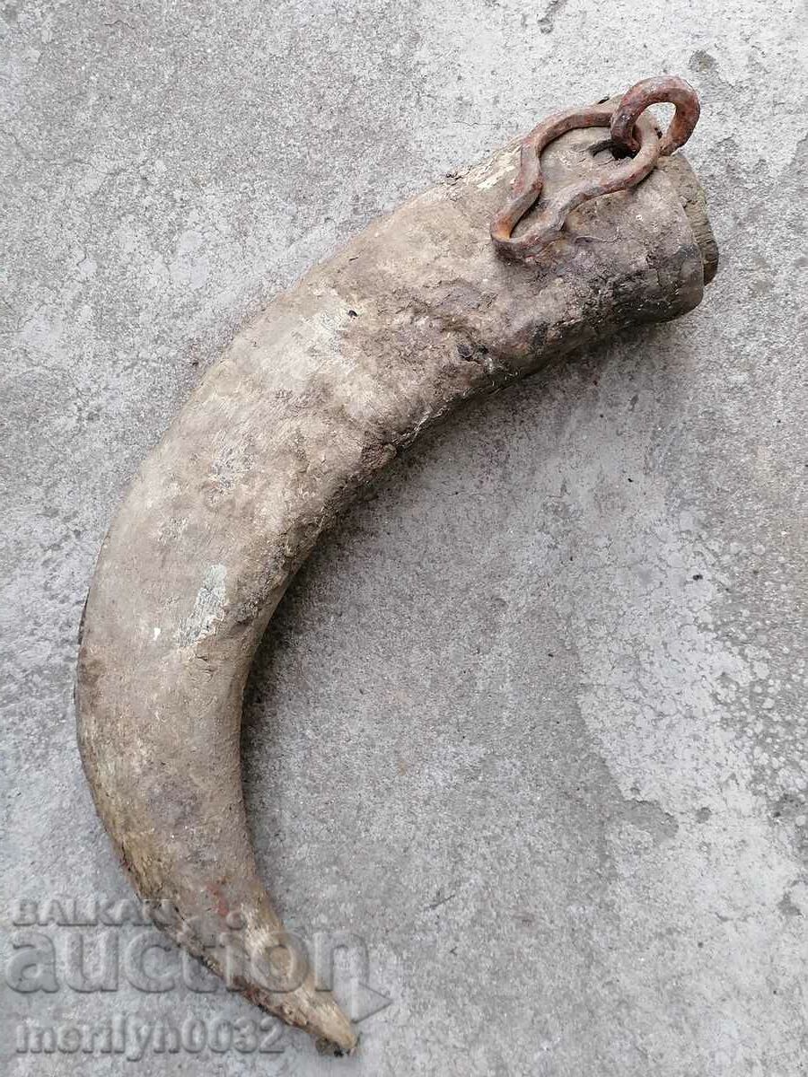 Bismarck hazelnut tarnata - 5