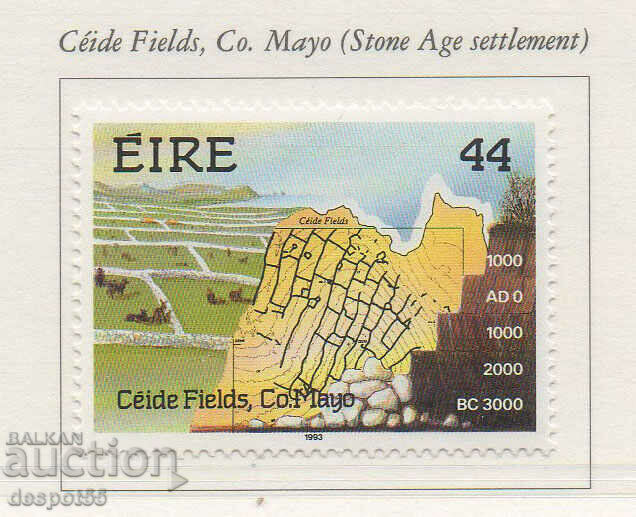 1993. Irlanda. Câmpurile Ceide - monument arheologic.