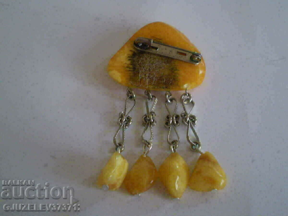 Livrarea Brosa antica de chihlimbar Livrarea Brosa antica de chihlimbar