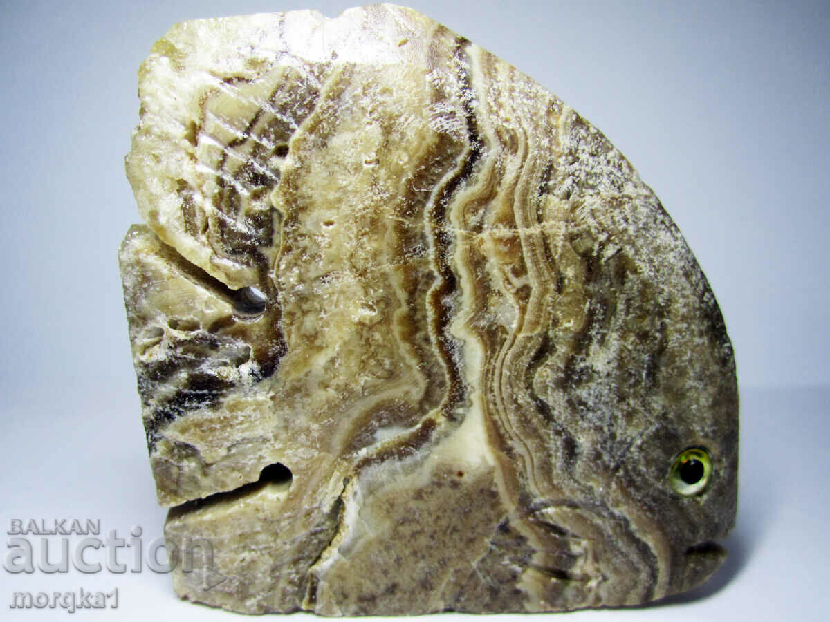 Agate striped, natural natural Tropical fish 560 carats with price 290.00 BGN | € 148.27