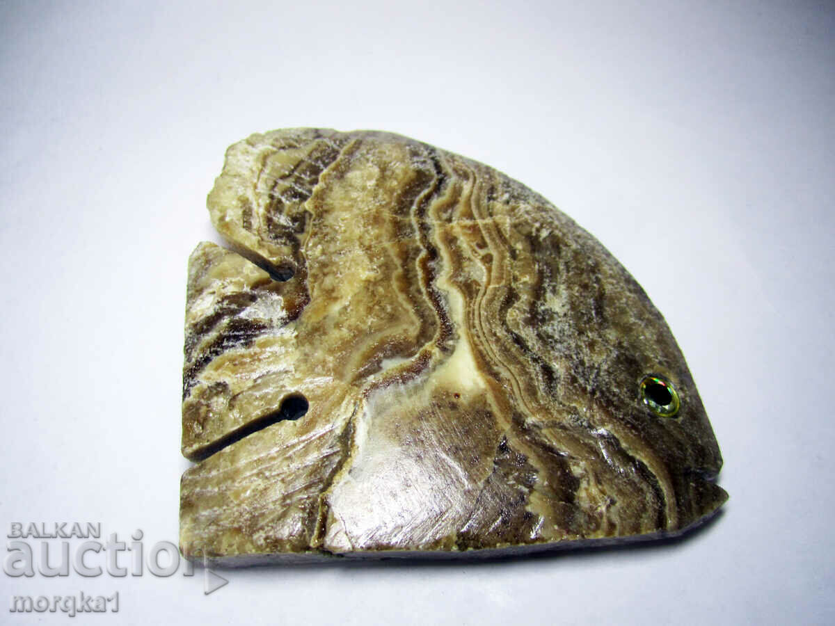 Auction  Agate striped, natural natural Tropical fish 560 carats