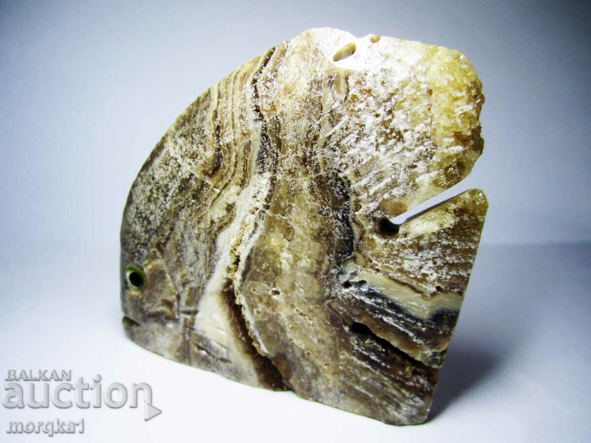 Delivery of Agate striped, natural natural Tropical fish 560 carats