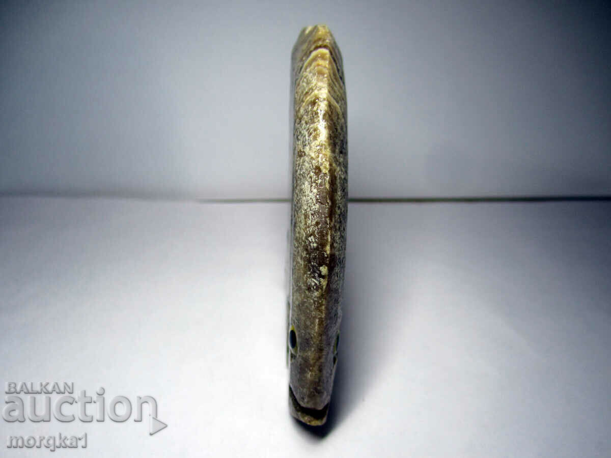 Agate striped, natural natural Tropical fish 560 carats - 5