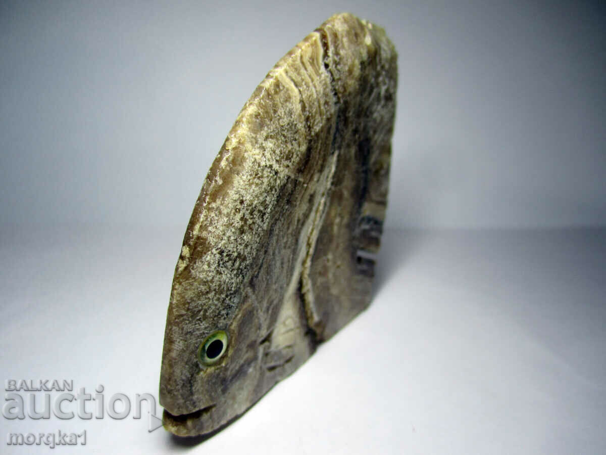 Agate striped, natural natural Tropical fish 560 carats - 6