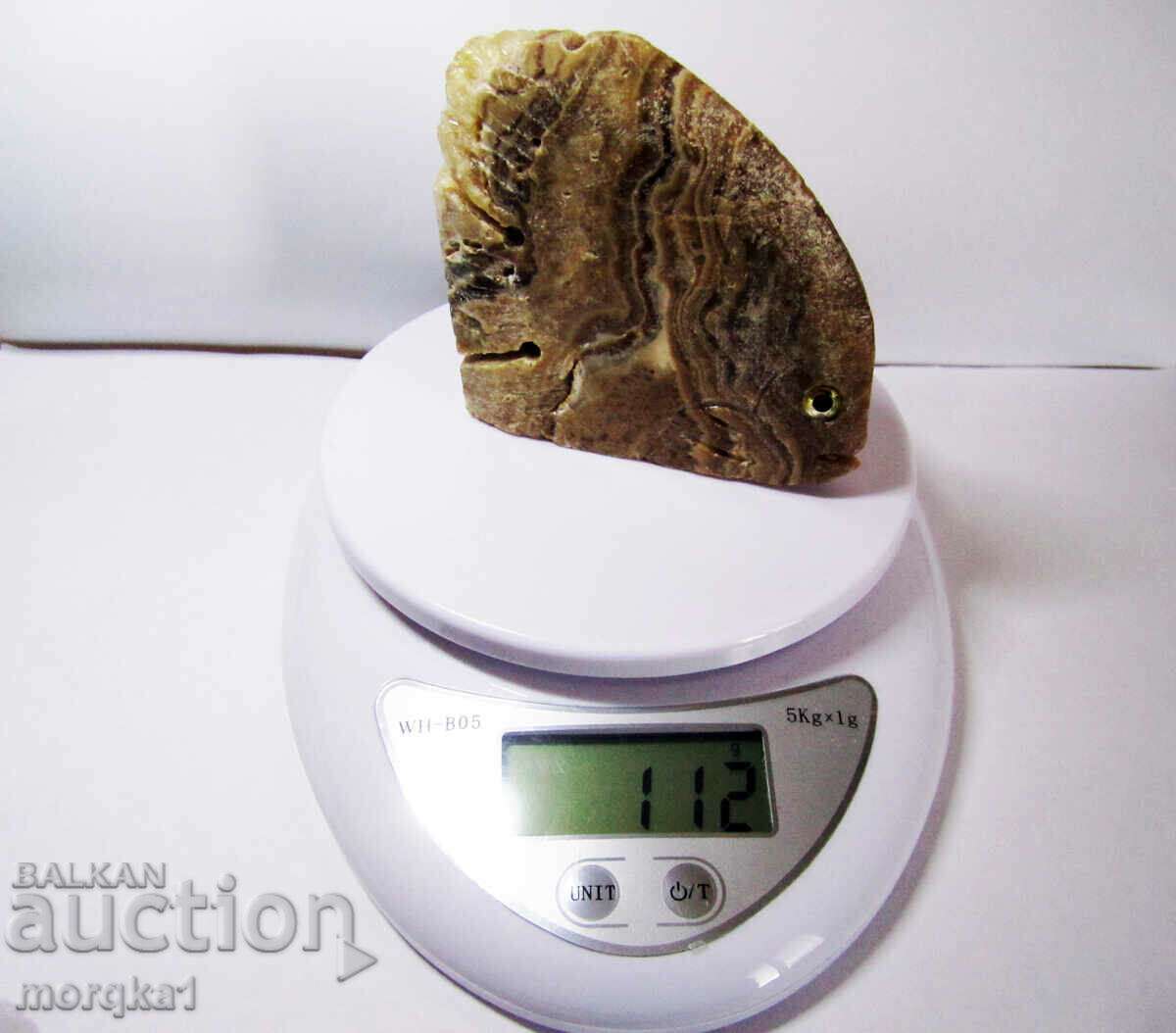 Agate striped, natural natural Tropical fish 560 carats - 7