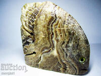 Agate striped, natural natural Tropical fish 560 carats