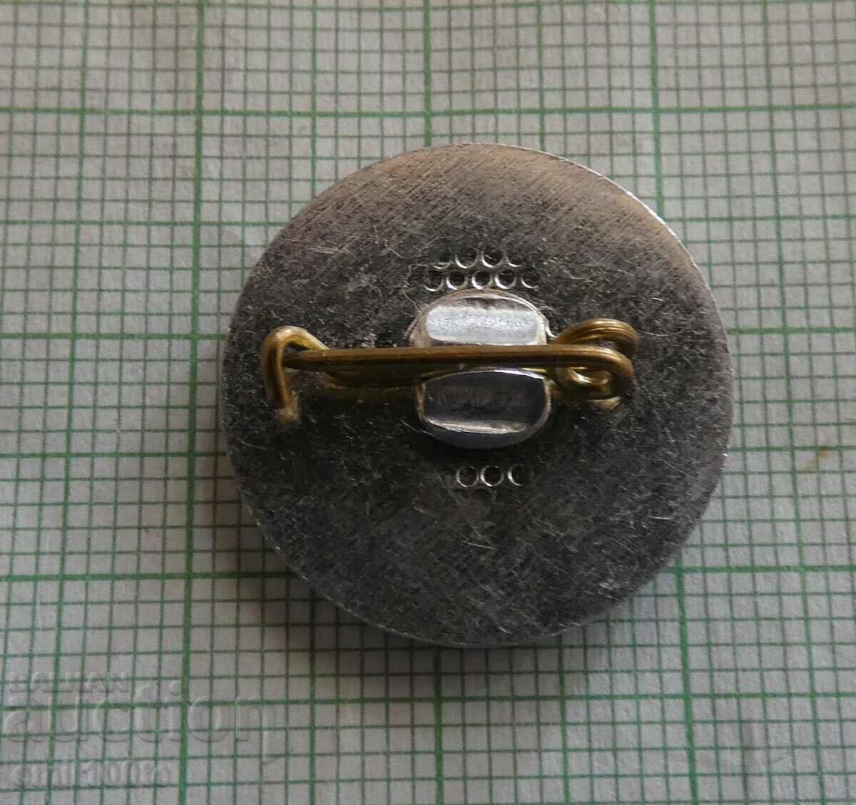 Delivery of Badge - Albert Einstein Delivery of Badge - Albert Einstein