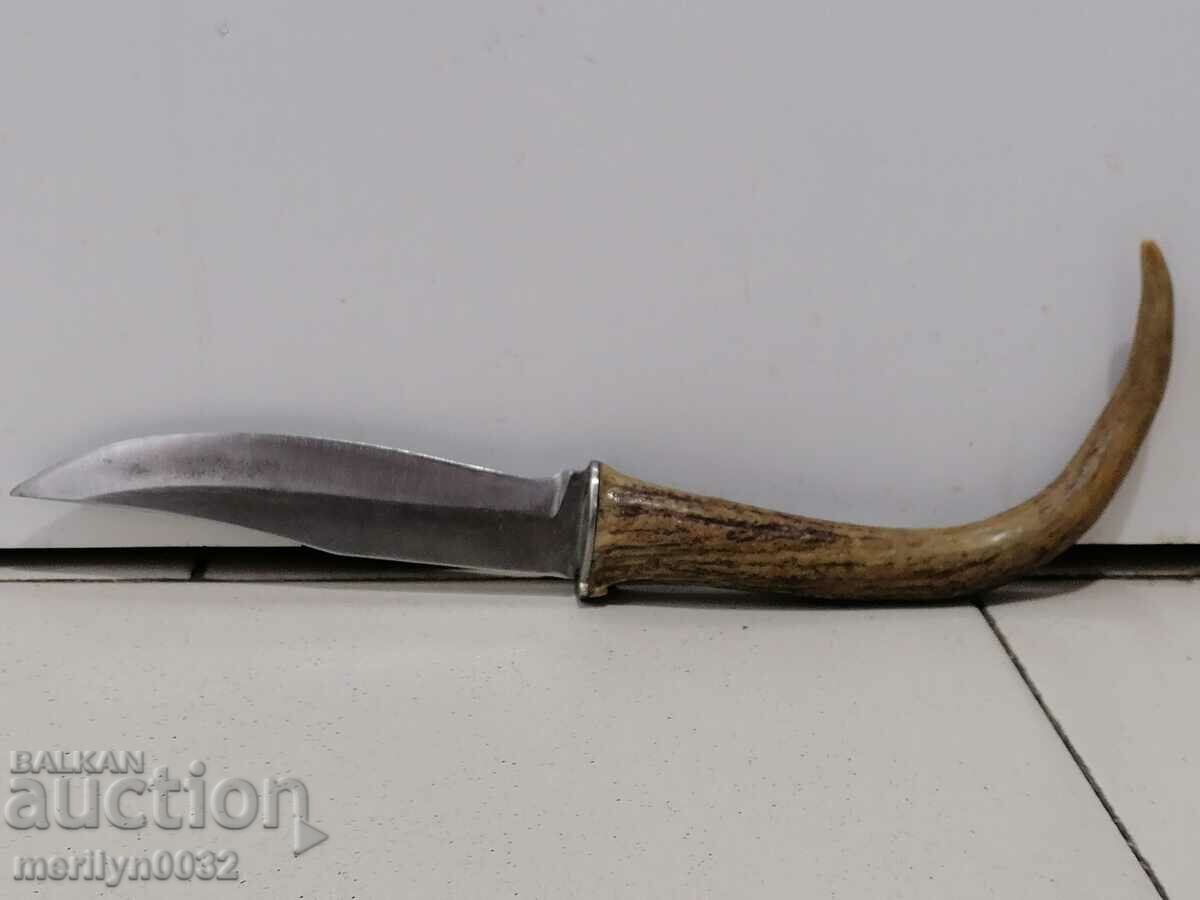 Hunting knife with a cane with a deer horn handle - 5 Hunting knife with a cane with a deer horn handle - 5